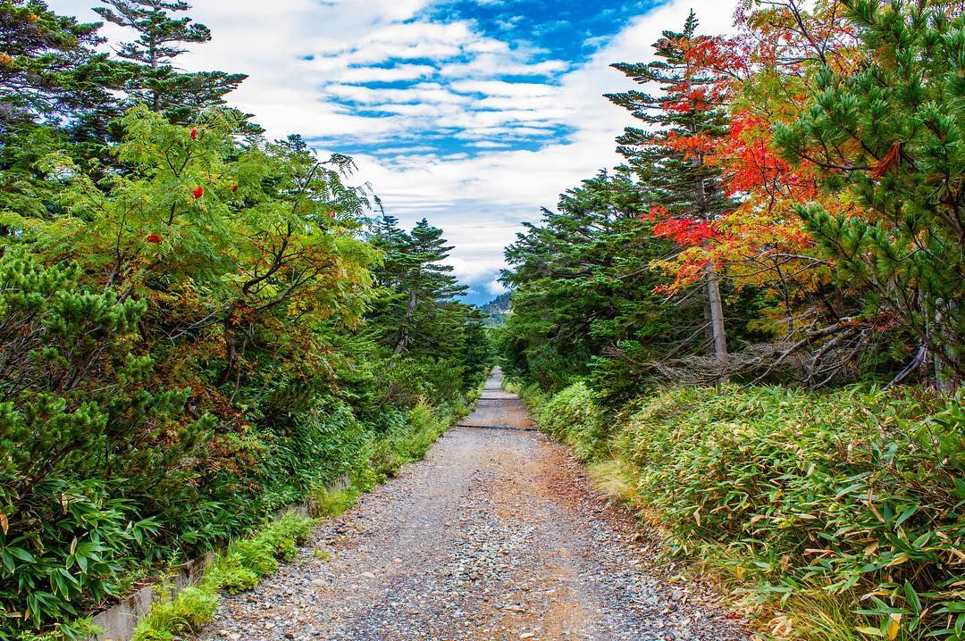 御嶽山 東京 旅館