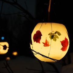 ニュース画像