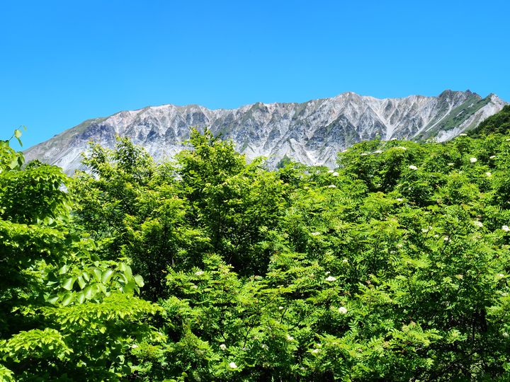 春夏秋冬美しい大自然に癒される！鳥取・大山のおすすめ観光スポット7選 | RETRIP[リトリップ]