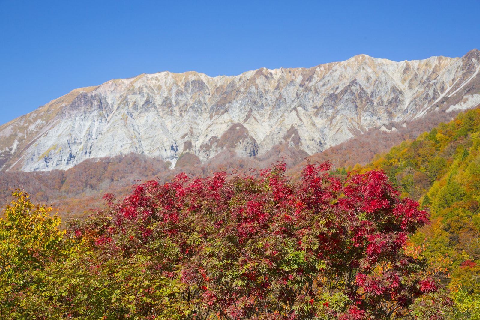 メイン画像 春夏秋冬美しい大自然に癒される 鳥取 大山のおすすめ観光スポット7選 Retrip リトリップ