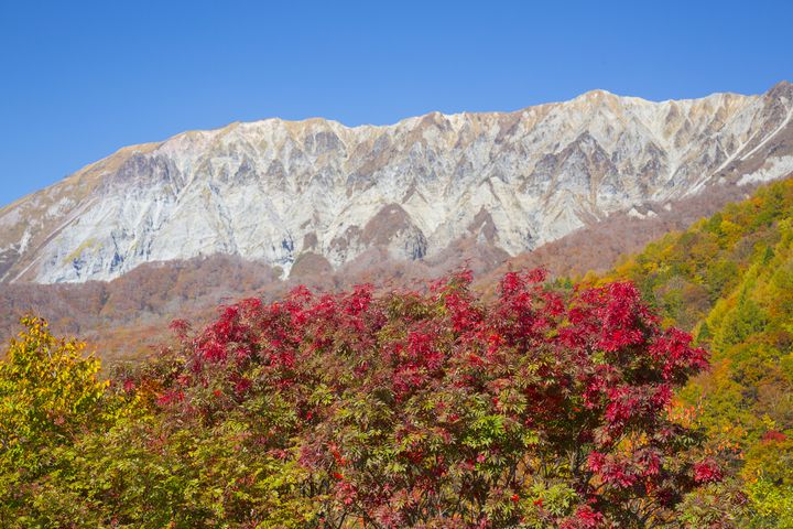 春夏秋冬美しい大自然に癒される！鳥取・大山のおすすめ観光スポット7選