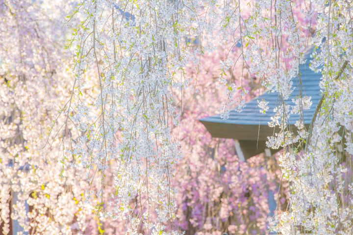 春の女子旅にもってこい 日本国内で人気の レトロな旅行先 8選 Retrip リトリップ