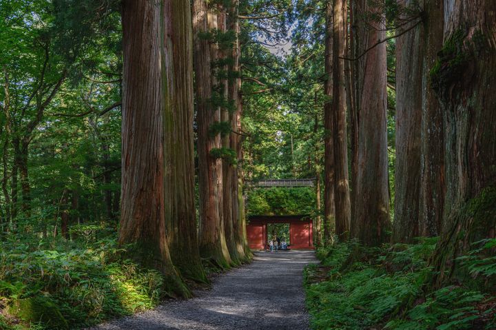 神社仏閣から大自然、忍者屋敷まで！長野市のおすすめ観光11選