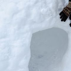 ニュース画像