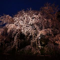 ニュース画像
