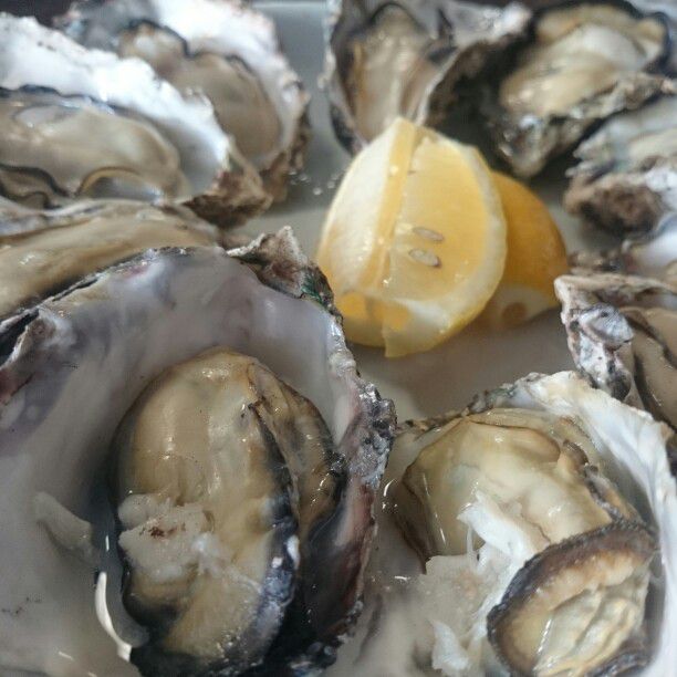 冬の味覚・牡蠣のたらふく食べたい！兵庫県内にある新鮮な牡蠣が食べ 