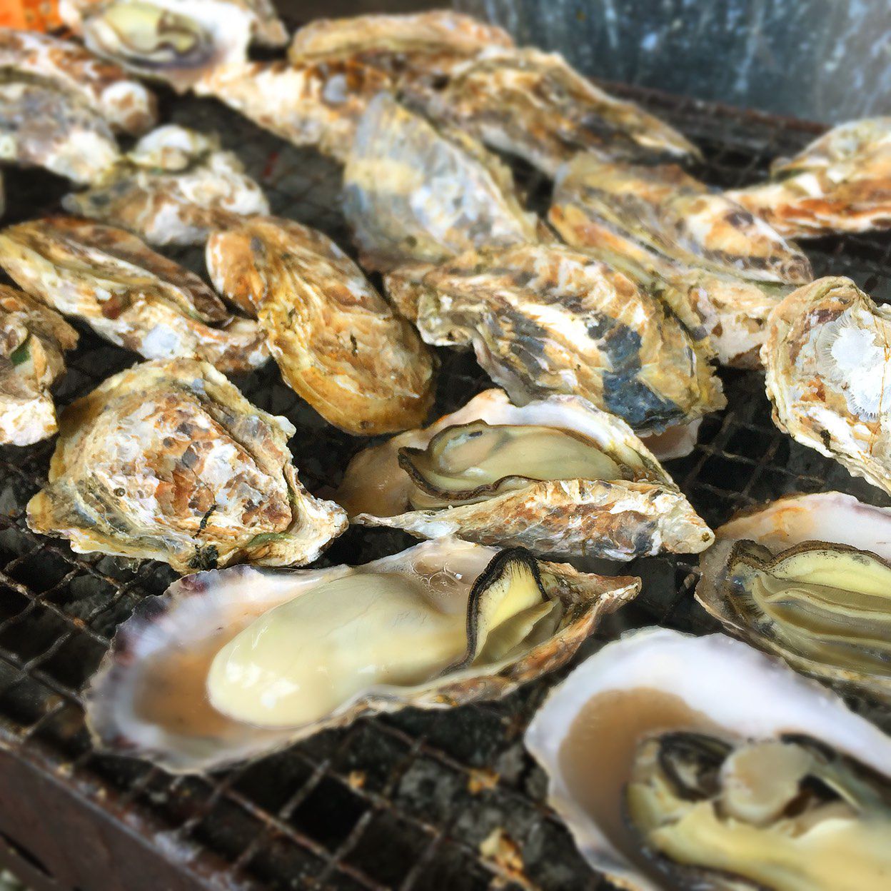 冬の味覚 牡蠣のたらふく食べたい 兵庫県内にある新鮮な牡蠣が食べれるお店9選 Retrip リトリップ