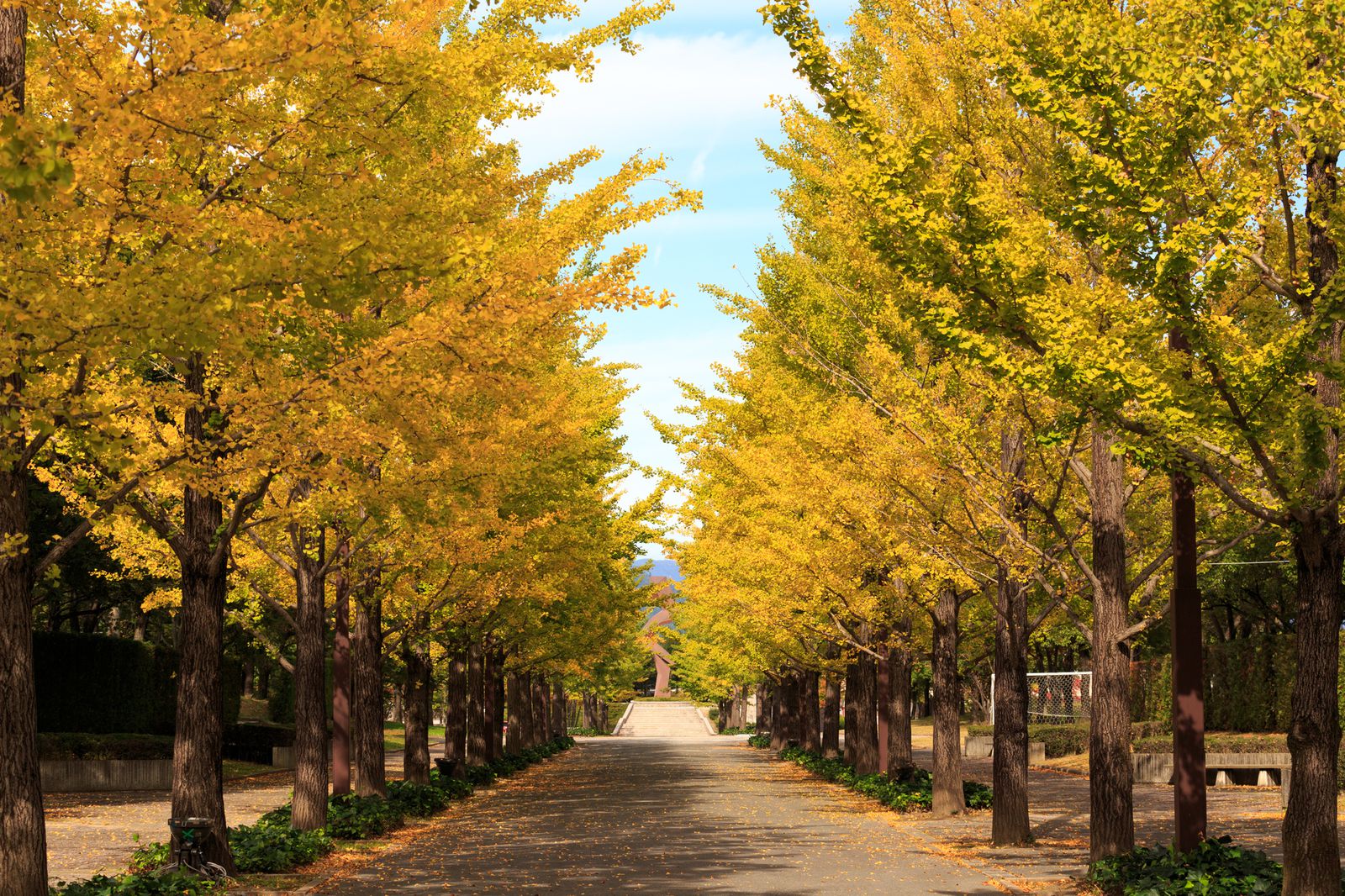 24枚目の画像 東北の秋は短い だが美しい 秋の東北の穴場的絶景スポット12選 Retrip リトリップ