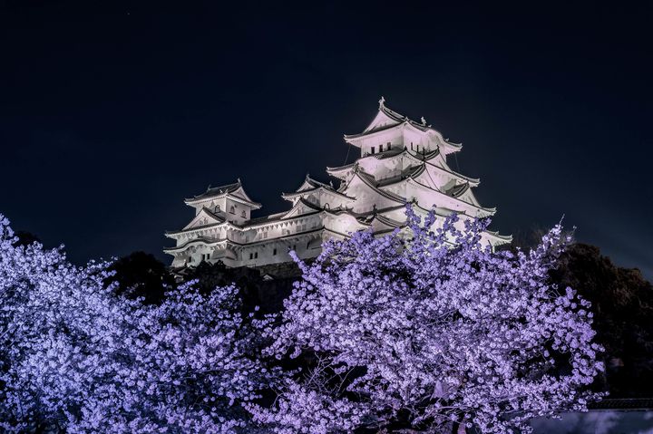 関西で“夜桜”の絶景に酔いしれよう。関西地方でオススメの夜桜スポット7選