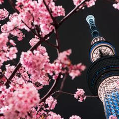 ニュース画像