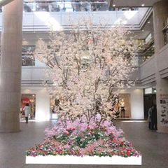 ニュース画像