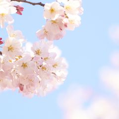ニュース画像