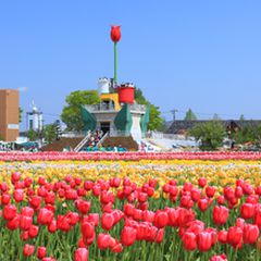 ニュース画像
