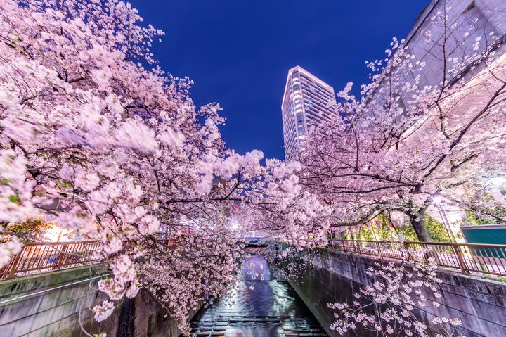 桜が散っても春はこれから 東京近郊の春を感じる花見スポット7選 Retrip リトリップ