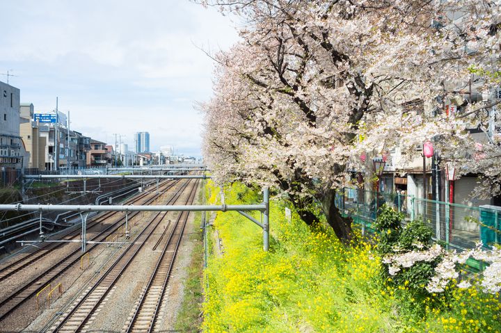 中央線沿いでお花見デートしませんか 東中野 中野 高円寺の花見スポット7選 Retrip リトリップ