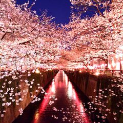 ニュース画像