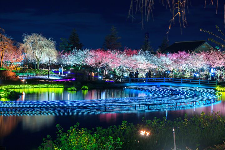 大切な人と行きたい 三重県の紅葉の名所 なばなの里 で幻想的な紅葉を楽しむ Retrip リトリップ