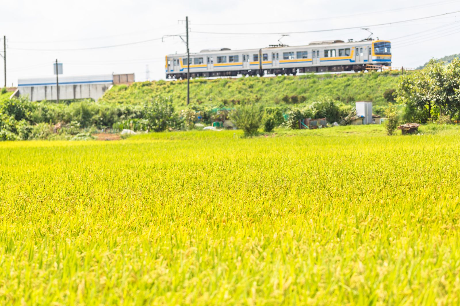 ちびっこママ必見 横浜 こどもの国 が休日のおでかけにおすすめ Retrip リトリップ