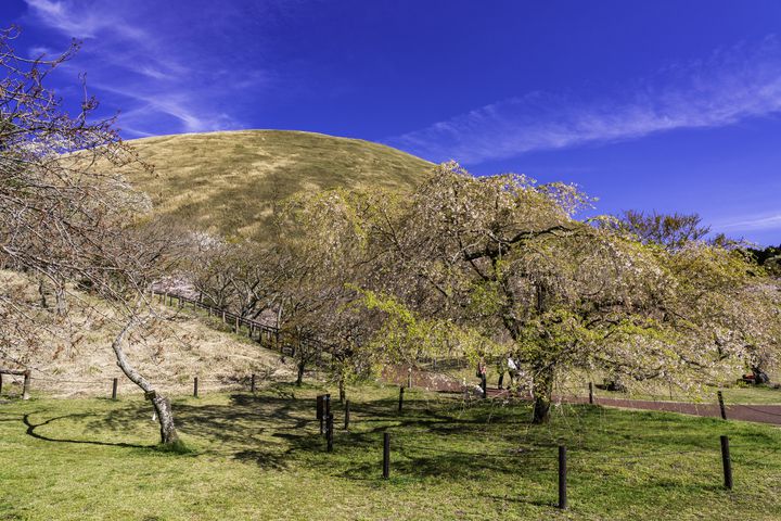 穴場の桜が こんなに絶景 関東周辺おすすめ花見名所５選 Retrip リトリップ