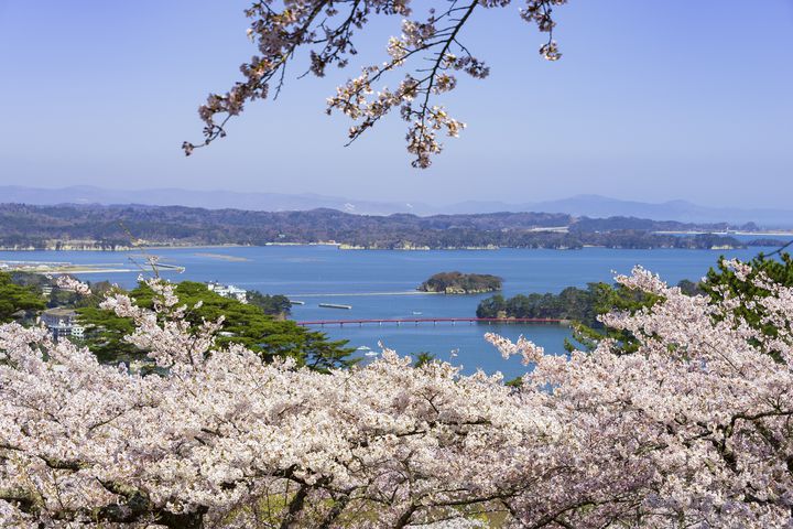 日本三景の一つ・松島！そんな松島のおすすめ民宿6選！