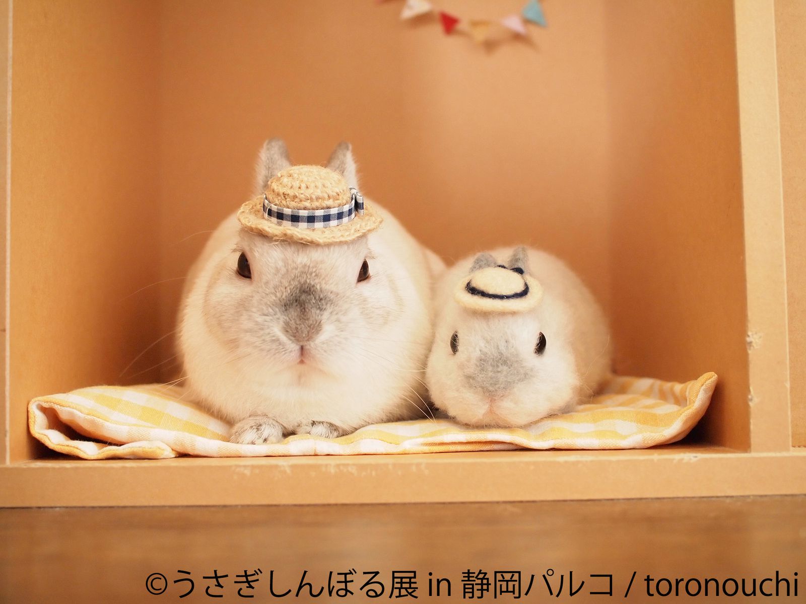 メイン画像 ピーターラビットと夢のコラボ うさぎしんぼる展 が メイン画像 ピーターラビットと夢のコラボ うさぎしんぼる展 が