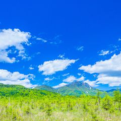 ニュース画像