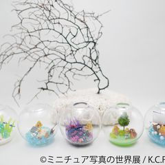 ニュース画像
