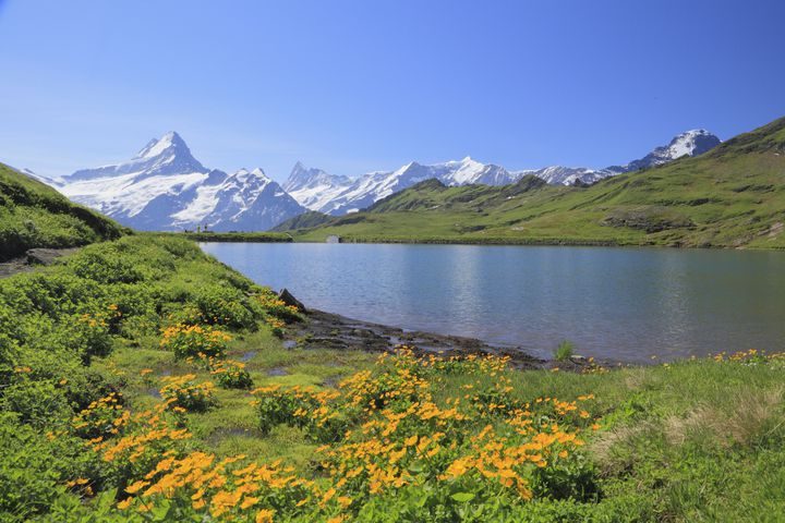 絵本のようなアルプスの世界！スイス・グリンデルワルトの大自然で