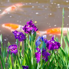 レアポケモンも出会える 神奈川県内の ポケモンの巣 まとめ ポケモンgo攻略 Retrip リトリップ