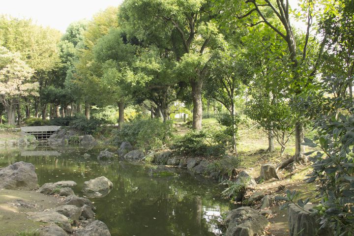 今日だけは子供気分で 関東にある大人でも遊べる 公園 10選 Retrip リトリップ