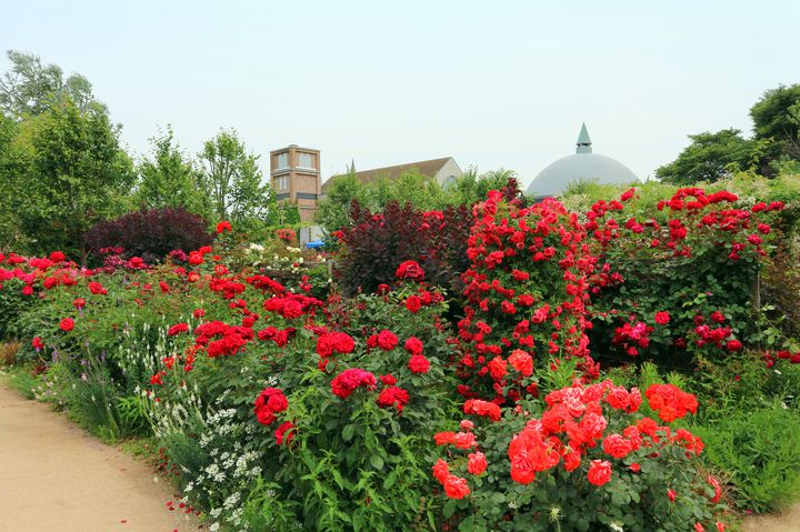 まだ見ぬ景色にきっとあなたも驚く 群馬県 館林市 の魅力5選 Retrip リトリップ