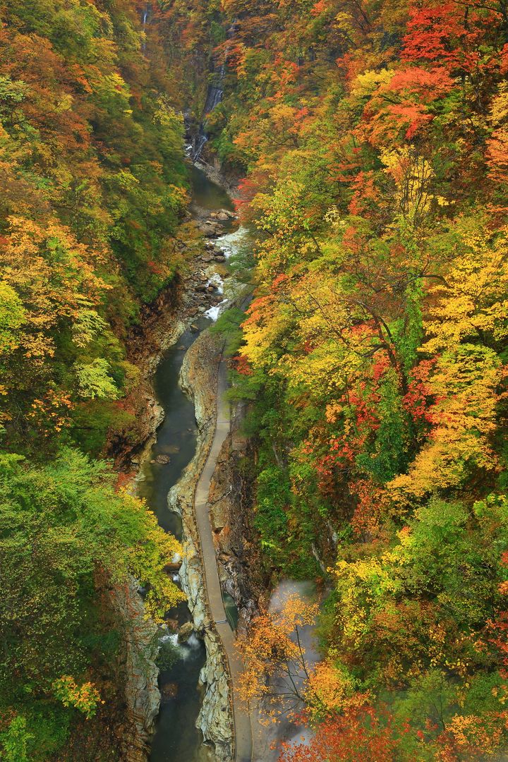 豊かな自然が織りなす 錦繍の秋 秋田県の紅葉名所ランキングtop5 Retrip リトリップ