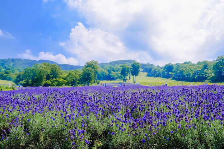 夏の絶景は群馬がアツいんです。日帰りで行ける映え旅プランを伝授♡