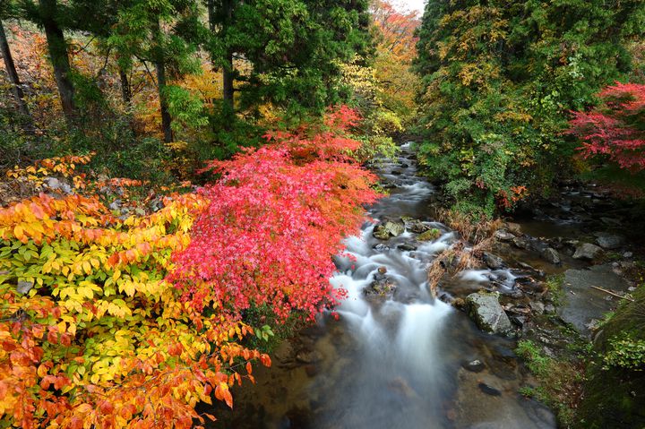 紅葉 黄葉 どっちも見たい茨城の絶景紅葉名所ランキングtop5 Retrip リトリップ