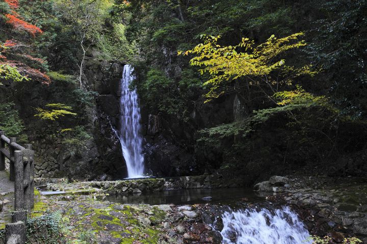 神戸はおしゃれな街並みだけじゃない この秋訪れたい紅葉名所ランキングtop5 Retrip リトリップ
