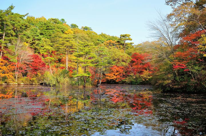 神戸はおしゃれな街並みだけじゃない この秋訪れたい紅葉名所ランキングtop5 Retrip リトリップ