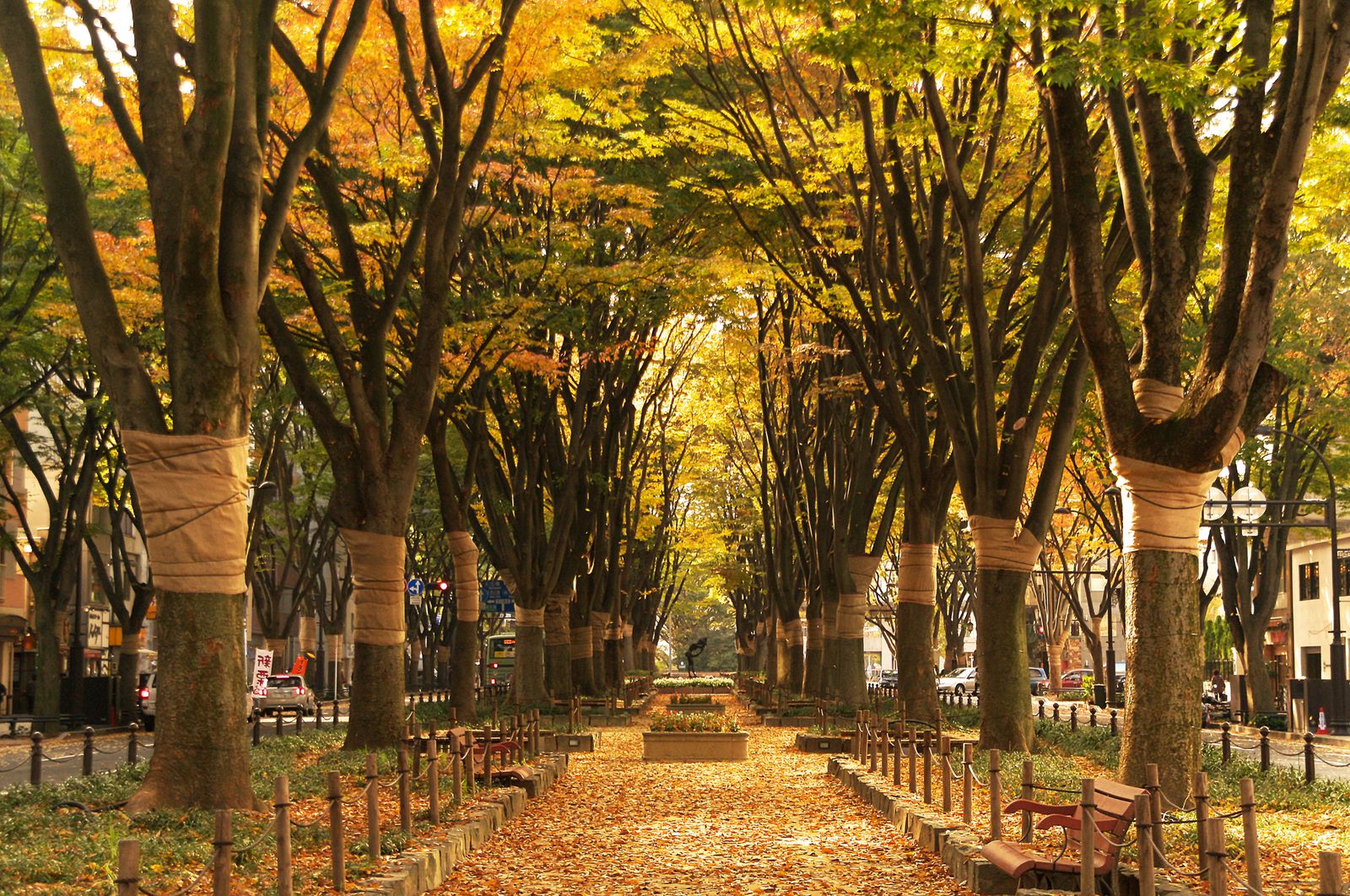 風誘う秋の仙台へ 杜の都の紅葉名所おすすめランキング５ Retrip リトリップ