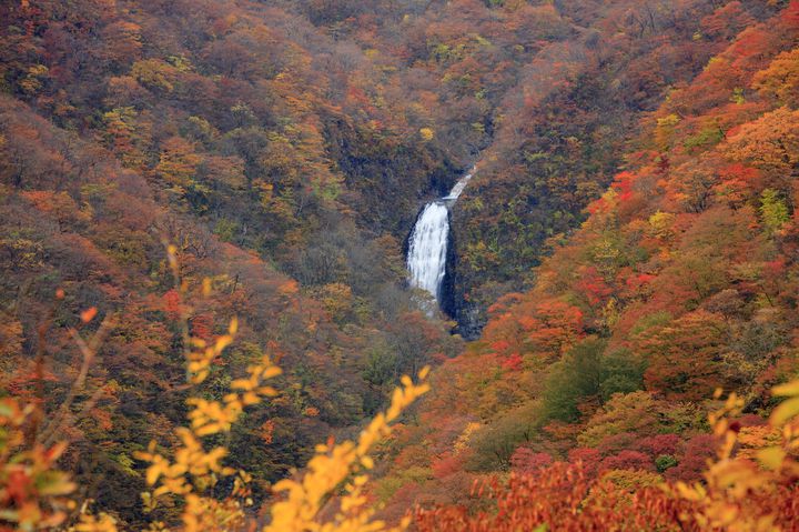 山形の紅葉名所どこが良い 行ってみたい おすすめしたい ランキング５ Retrip リトリップ