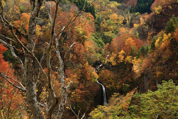 山形の紅葉名所どこが良い 行ってみたい おすすめしたい ランキング５ Retrip リトリップ