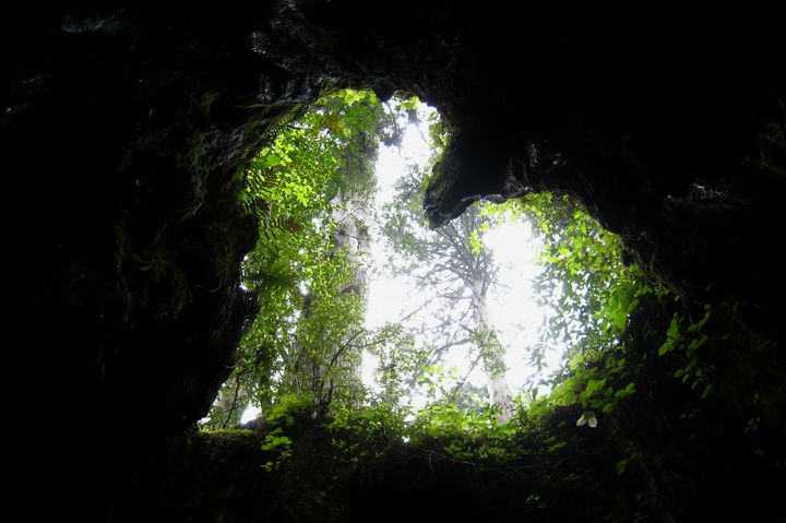 自然のパワーを感じる島々！鹿児島県で絶対行きたい絶景「離島」7選