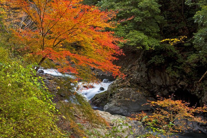 おすすめです 風薫る秋の和歌山の紅葉名所ランキングtop５ Retrip リトリップ