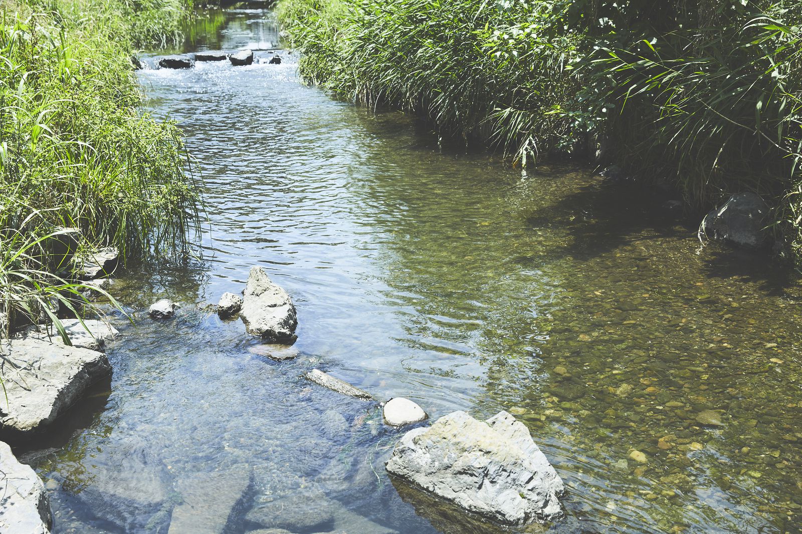 東京のどこが好き Find My Tokyo で知る新たな東京の魅力とは Retrip リトリップ