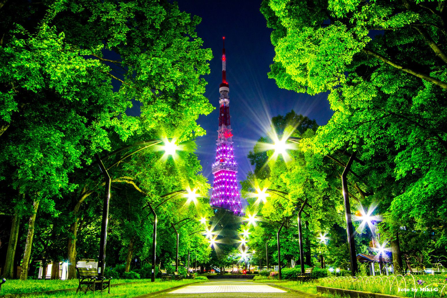 デート 東京タワー