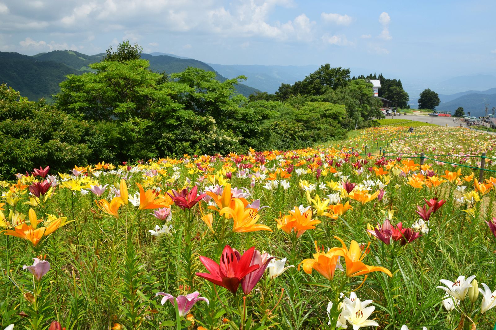 メイン画像 新潟県 湯沢 でおすすめ観光スポット 子どもも大人も楽しめる7選 Retrip リトリップ