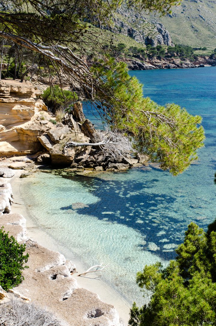 世界の民話　マヨルカ島 世界の民話 マヨルカ島 マヨルカ島 一人旅｜Masato Hagiwara｜note