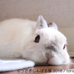 ニュース画像