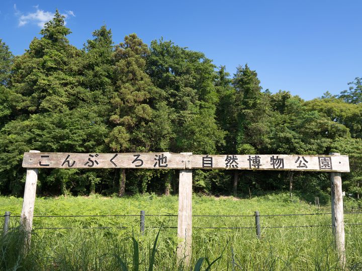 柏でおすすめのデートスポット10選 公園でゆったりお散歩デートを Retrip リトリップ