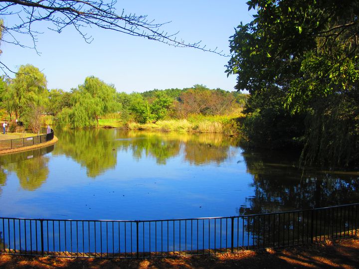 柏でおすすめのデートスポット10選 公園でゆったりお散歩デートを Retrip リトリップ