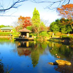 柏でおすすめのデートスポット10選 公園でゆったりお散歩デートを Retrip リトリップ