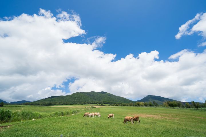 岡山 蒜山高原 ひるぜん を走る おすすめツーリングスポット完全ガイド Retrip リトリップ